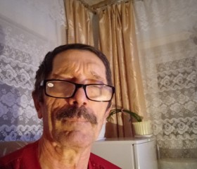 МИХАИЛ, 67 лет, Лесной
