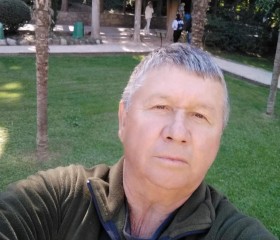 Владимир, 69 лет, Сергиев Посад