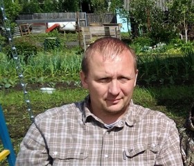 Сергей, 46 лет, Кашира