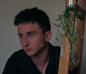 Stas, 23, Gruenstadt