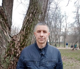 вячеслав, 47 лет, Таганрог