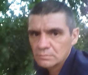 Сергей, 50 лет, Белая-Калитва