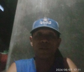 bolas, 42 года, Kabupaten Malang