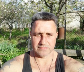 Андрей, 52 года, Ольгинка