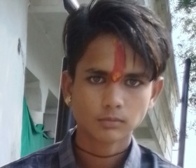 Vinod tanwar, 24 года, Biaora