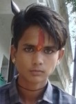 Vinod tanwar, 24 года, Biaora