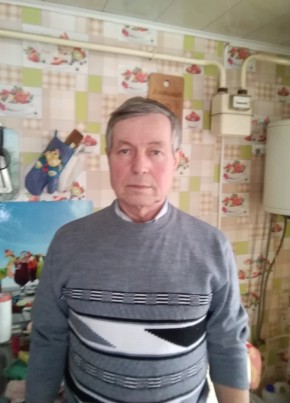 Виктор, 72, Россия, Павловск (Воронежская обл.)