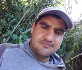 Juan, 34 года, Mar del Plata