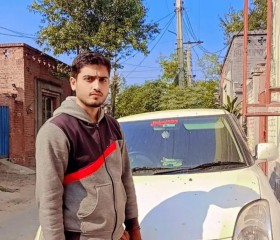 Mian Husnain, 24 года, لاہور