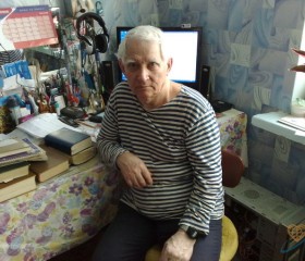 Валерий, 85 лет, Херсон