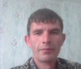 Александр Алекса, 36 лет, Димитровград