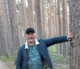 Алик, 45 лет, Приозерск