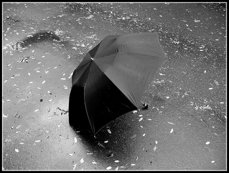 Забытый зонтик. Брошенный зонт. Зонт на асфальте. Зонт в луже. Черный зонт под ливнем.