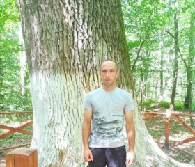 Игорь, 34 года, Житомир