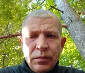 Дима, 52 года, Курск