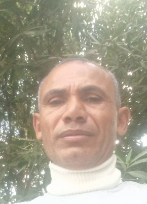 علي فتحي, 43, جمهورية مصر العربية, الإسكندرية