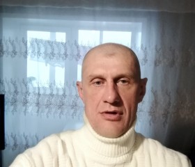 Роман, 44 года, Барнаул
