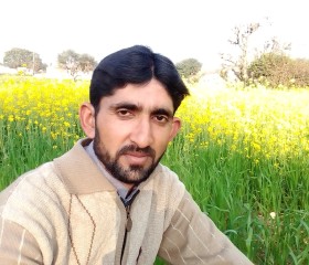 Tasdeeq Janjua, 35 лет, کراچی