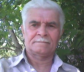Виктор, 64 года, Тольятти