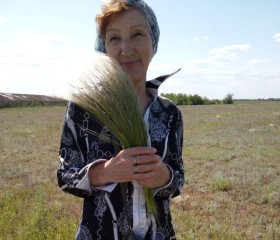 Nadezhda, 71, Moscow