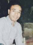 Amr, 34 года, محافظة الفيوم