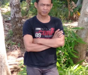 Hery, 44 года, Kota Blitar
