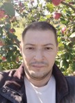 Vell, 39, Belgorod
