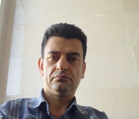 Masoud, 46 лет, تِهران