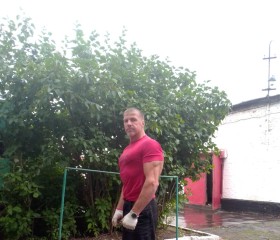 Андрей, 48 лет, Щекино
