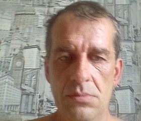 Николай Штанов, 50 лет, Бабаево