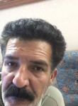 hasaanzareh, 46 лет, یزد