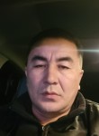 Бауыржан, 43 года, Алматы