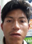 José, 26 лет, Quito