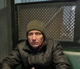 Кк, 41 год, Александров