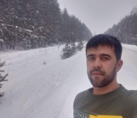 Zhakhongir, 31, Ruzayevka