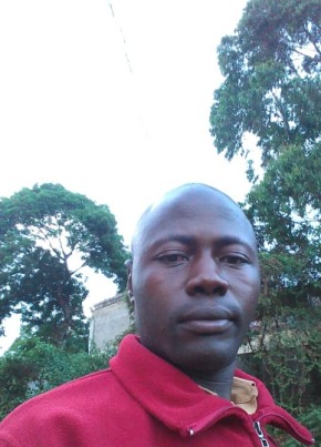 M. kuhasa, 39, Kenya, Nairobi