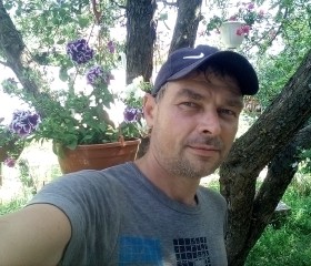 Александр, 43 года, Шуя