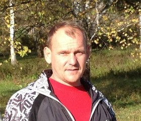 Евгений, 49 лет, Лесозаводск
