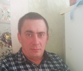 Николай, 43 года, Петропавл