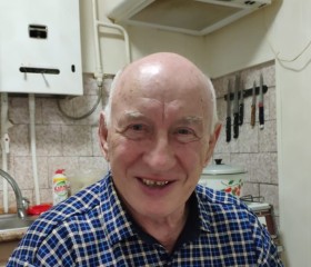 Виктор, 76 лет, Донское
