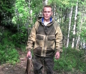 Андрей, 38 лет, Мирный (Архангельская обл.)