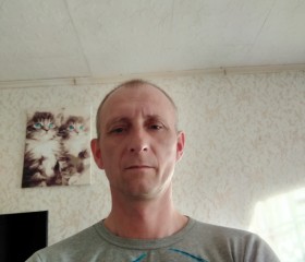 алексей, 50 лет, Юрьев-Польский