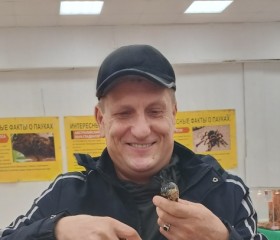 Андрей, 56 лет, Жирновск