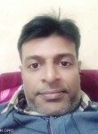 Satish Kumar, 38 лет, Delhi