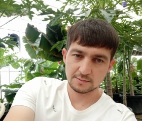 Миршод, 32 года, Toshkent