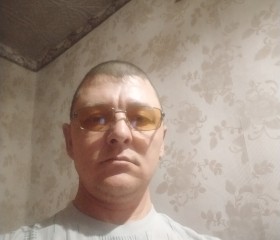 Николай Раченков, 43 года, Барнаул
