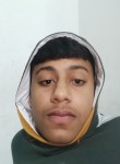 Prince, 18 лет, Ghaziabad