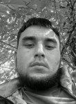 Димид - Курск