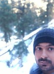 Sanjeet, 31 год, Haldwani