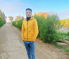 الديب, 20, Damietta
